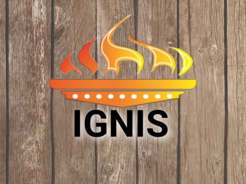 Твердотопливный котел IGNIS